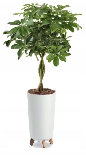 Plastový kvetináč na nožičkách DGTL200 19,5 cm - biela