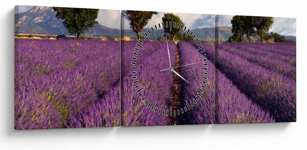 Obraz - Levanduľové pole a hory (s hodinami) (90x30 cm)
