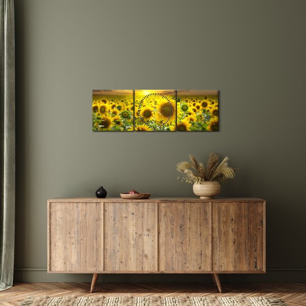 Obraz - Slnečnica pri západe slnka (s hodinami) (90x30 cm)
