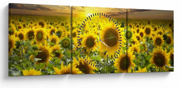 Obraz - Slnečnica pri západe slnka (s hodinami) (90x30 cm)