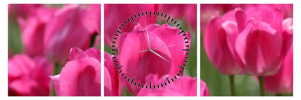 Obraz - Ružové tulipány (s hodinami) (90x30 cm)