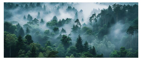 Obraz - Les v hmle (120x50 cm)