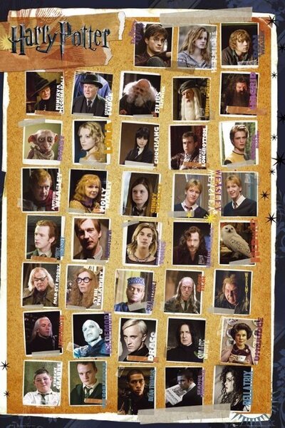 Plagát, Obraz - Harry Potter - Postavy, (61 x 91.5 cm)