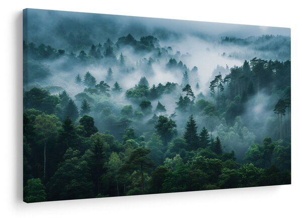 Obraz - Les v hmle (90x60 cm)