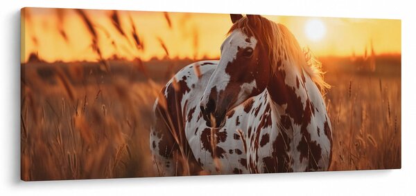 Obraz - Kôň pri západe slnka (120x50 cm)