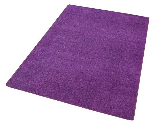 Tmavofialový koberec 80x150 cm Fancy – Hanse Home