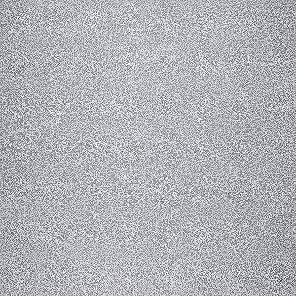 FATRA Novoflor extra sparkle 2440-58 Úloha | Šírka rolky 2 m | Dĺžka návinu 12 m - 24 m2