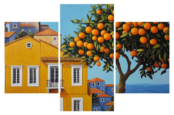 Obraz - Pomarančovník (90x60 cm)