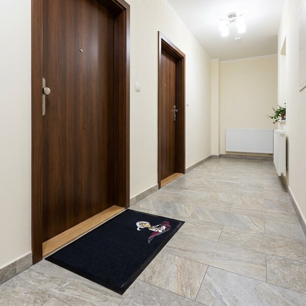 Mercury Flooring , Rohožka Aladin a lietajúci koberec 40x60 cm, 40x60, čierna