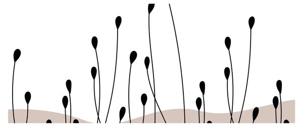 Obraz - Grafická lúka N⁰1 (120x50 cm)