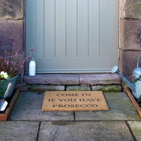 Rohožka z kokosového vlákna 40x60 cm Prosecco – Artsy Doormats