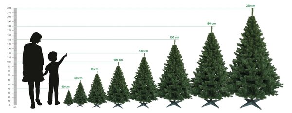 JAKS Vianočný stromček jedľa strieborná 200 cm