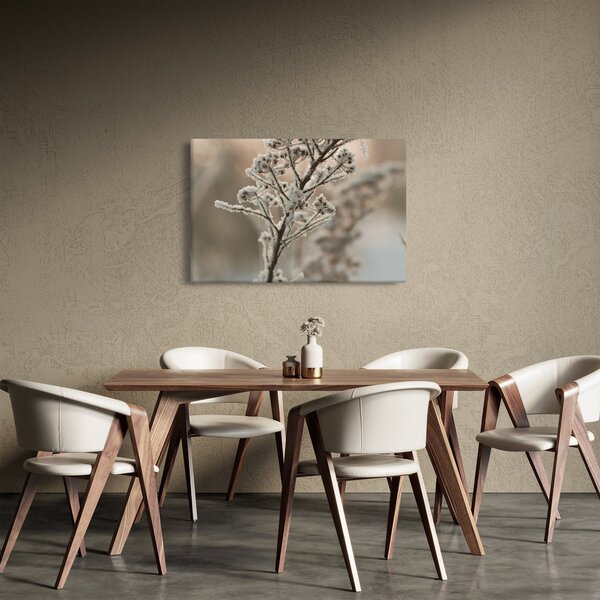 Obraz - Rastlina v mraze (90x60 cm)