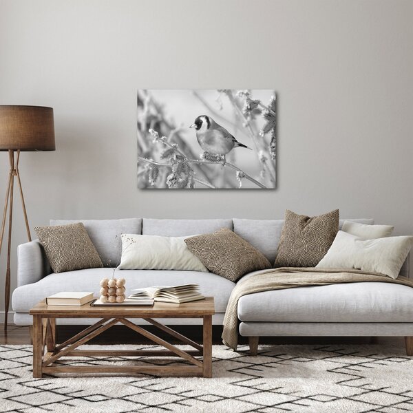 Obraz - Vtáčik v zime (70x50 cm)