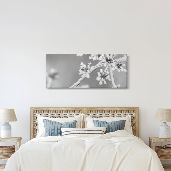 Obraz - Zamrznutá rastlina (120x50 cm)