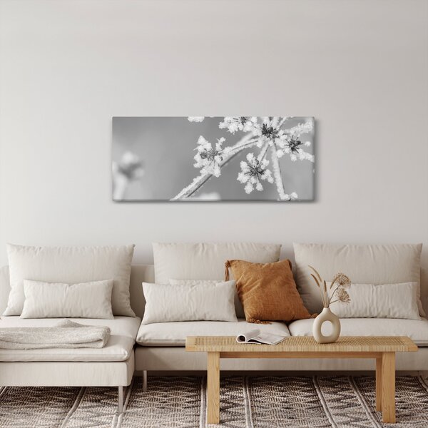 Obraz - Zamrznutá rastlina (120x50 cm)