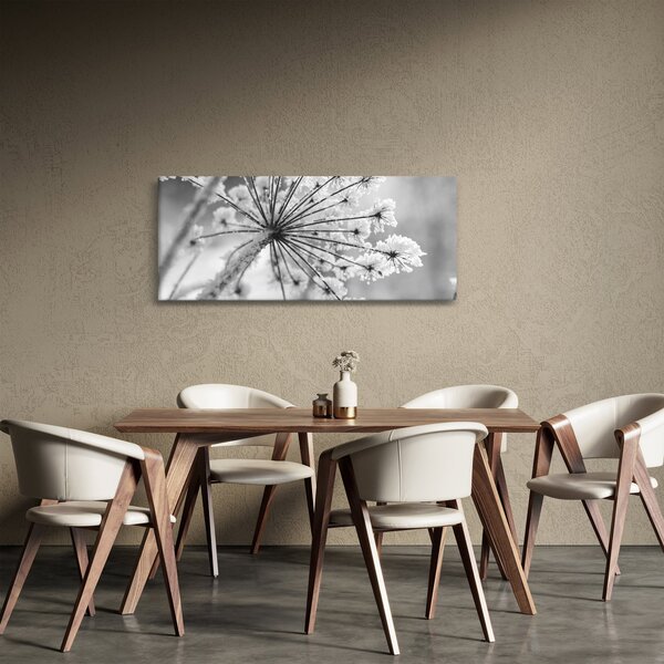 Obraz - Kvetina v zime (120x50 cm)
