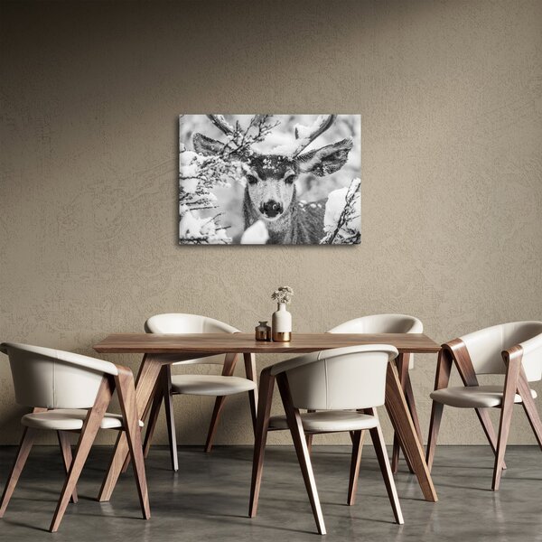 Obraz - Jeleň v zime (70x50 cm)