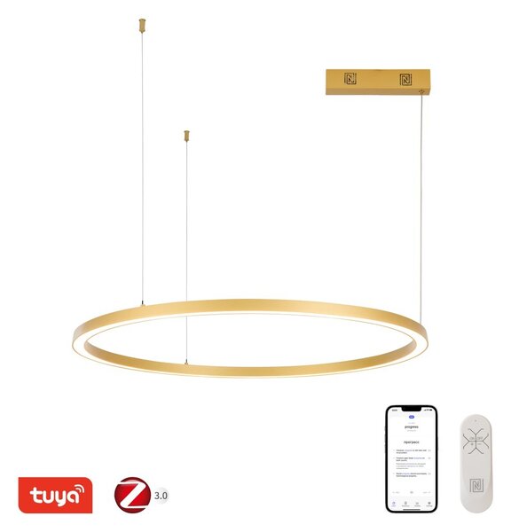 Immax NEO 07217L LED závesné stropné svietidlo CANTO | 60W integrovaný LED zdroj