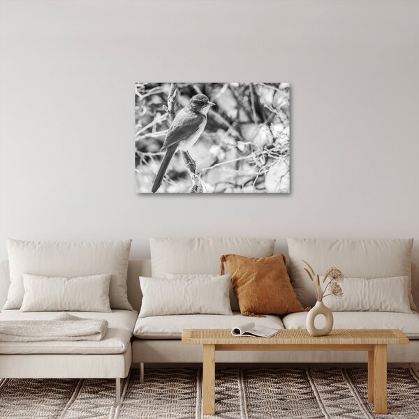 Obraz - Modrý vták v zime (70x50 cm)