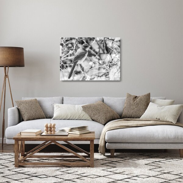 Sklenený obraz - Modrý vták v zime (70x50 cm)