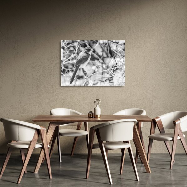 Sklenený obraz - Modrý vták v zime (70x50 cm)