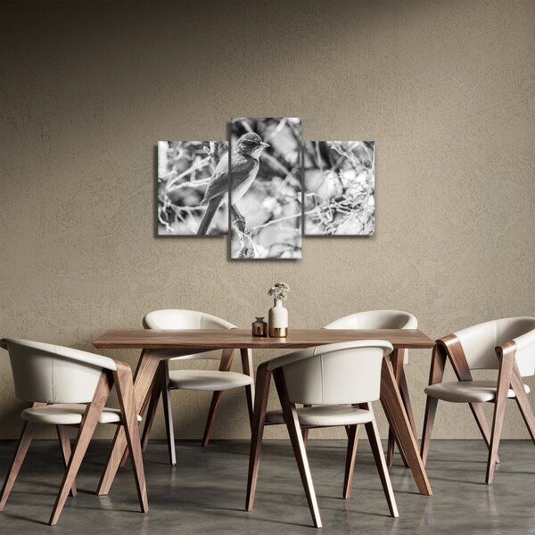 Obraz - Modrý vták v zime (90x60 cm)