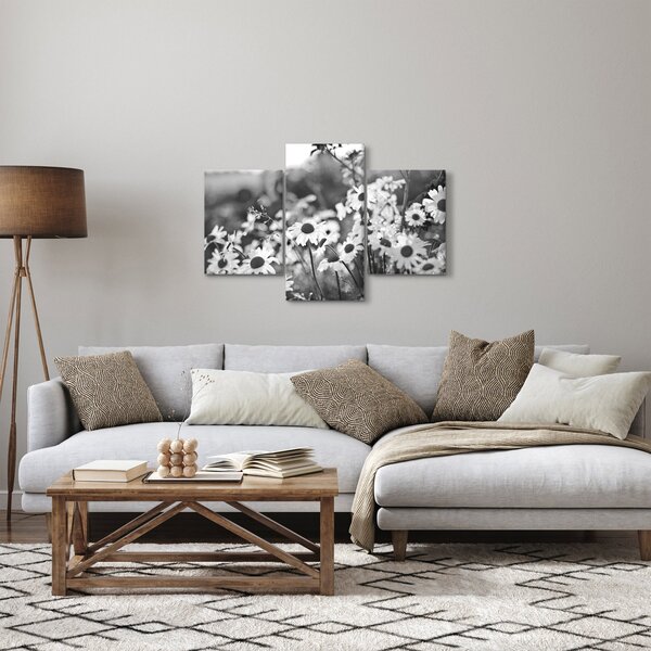 Obraz - Kopretiny (90x60 cm)
