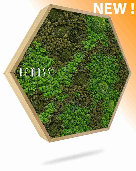 Machový Hexagon BEMOSS® ORTHO ASEL - Priemer 30 cm (v najširšom mieste šesťuholníka)