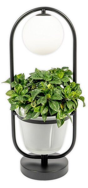 Stolové Lampa Lindby, Orna, Čierna, Obývacia izba, Kov, Moderný