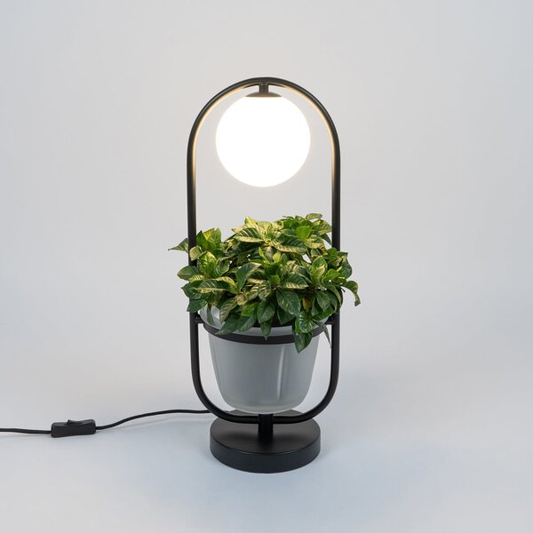Stolové Lampa Lindby, Orna, Čierna, Obývacia izba, Kov, Moderný