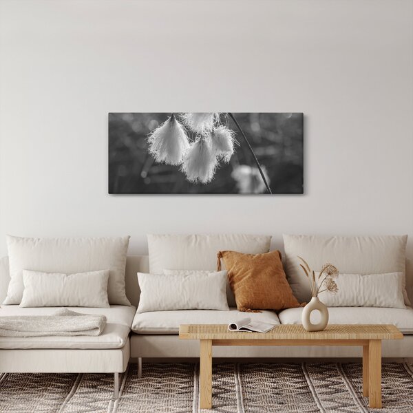 Obraz - Cottongrass (120x50 cm)