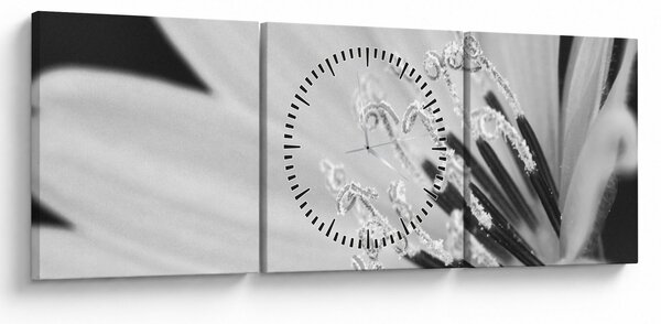 Obraz - Čiernobiely kvet (s hodinami) (90x30 cm)