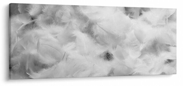 Obraz - Oblaky perie (120x50 cm)