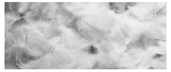 Obraz - Oblaky perie (120x50 cm)