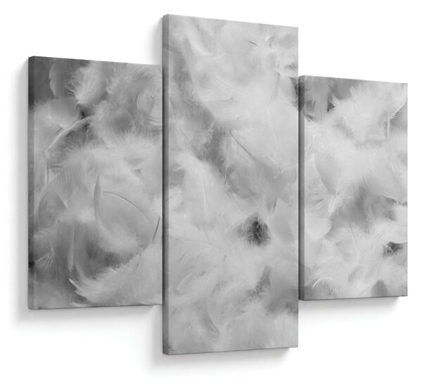 Obraz - Oblaky perie (90x60 cm)