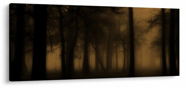Obraz - Temný les (120x50 cm)