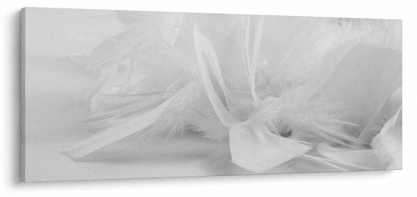 Obraz - Perie (120x50 cm)