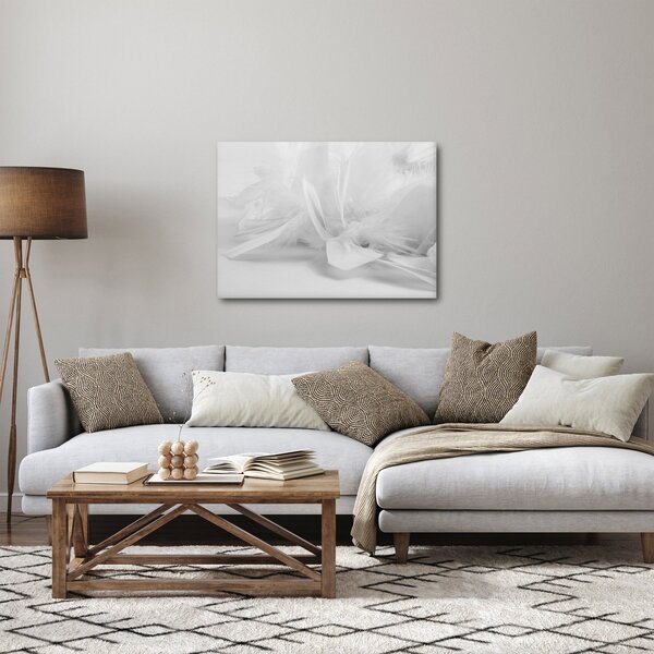 Obraz - Perie (70x50 cm)
