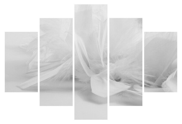 Obraz - Perie (150x105 cm)
