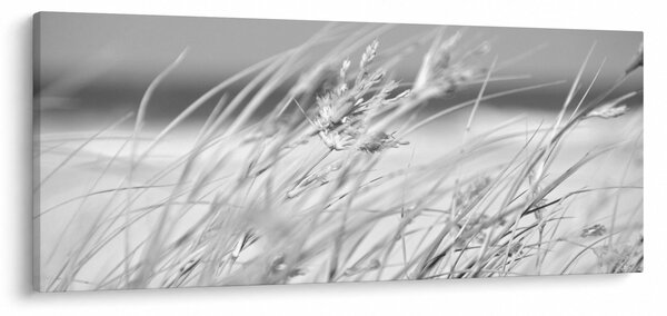 Obraz - Plážová tráva (120x50 cm)