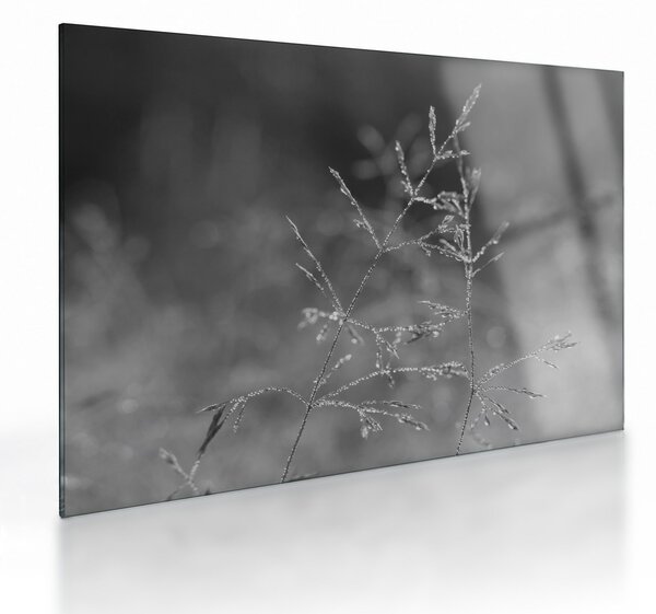 Sklenený obraz - Vidiecka lúka (70x50 cm)
