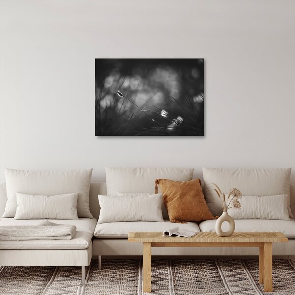 Obraz - Lúčna tráva (70x50 cm)