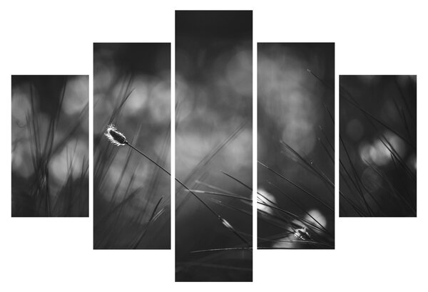 Obraz - Lúčna tráva (150x105 cm)