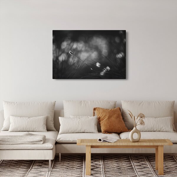 Obraz - Lúčna tráva (90x60 cm)
