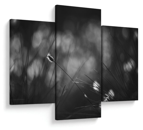 Obraz - Lúčna tráva (90x60 cm)