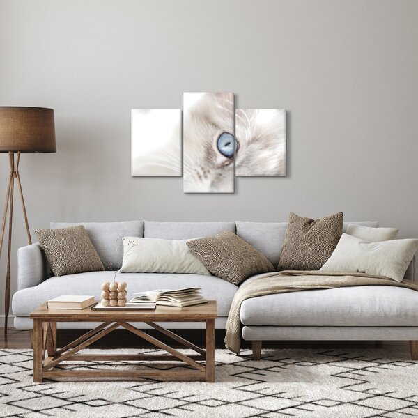Obraz - Mačka s modrými očami (90x60 cm)