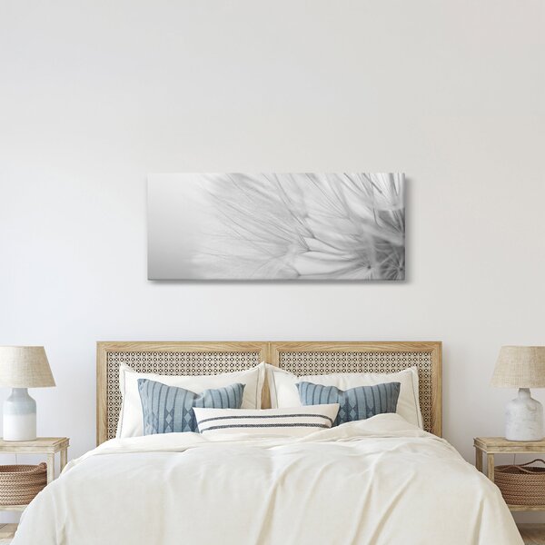 Obraz - Púpava (120x50 cm)