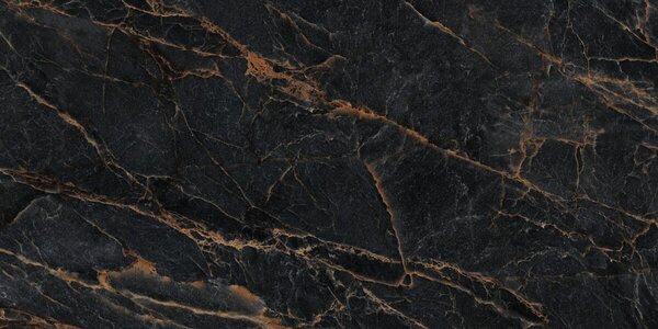 Majestic Black Pulido 80x160 R