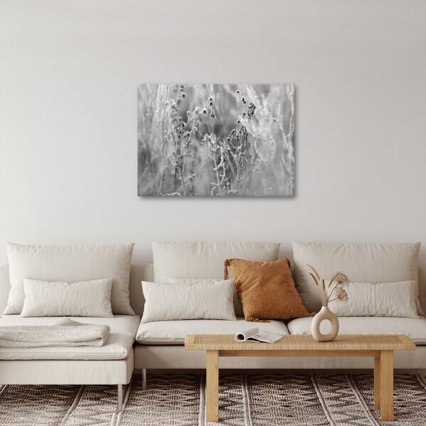 Obraz - Divoká lúka (70x50 cm)